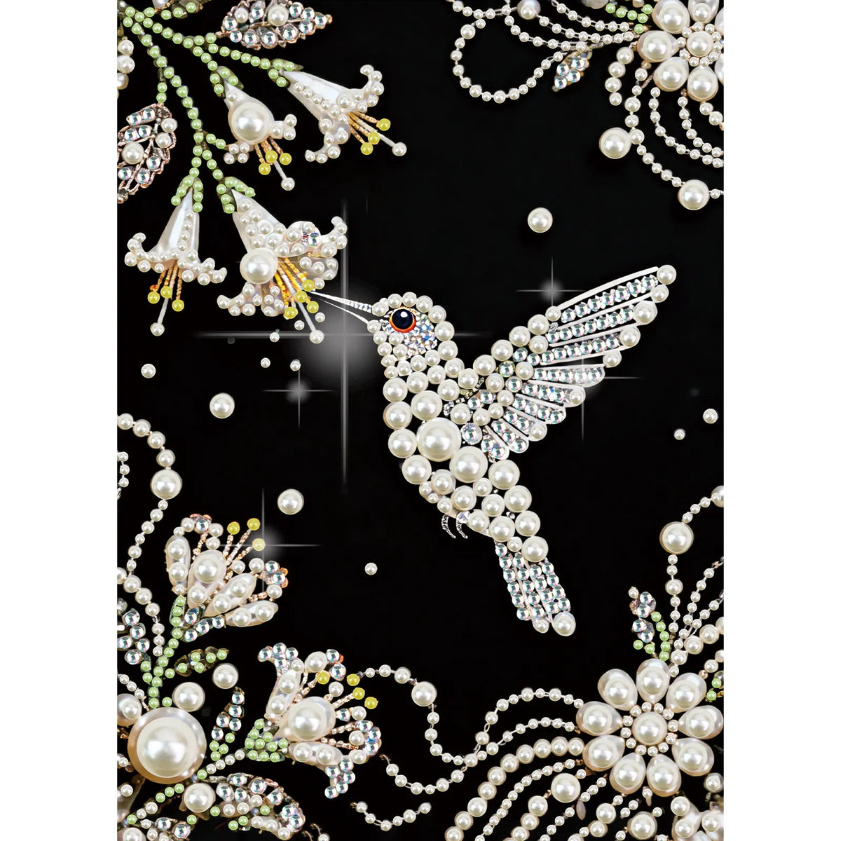Hummingbird Premium 5D Diamond Painting Kit Black & White Pearls painting Sparkling Special Shaped Diamond painting