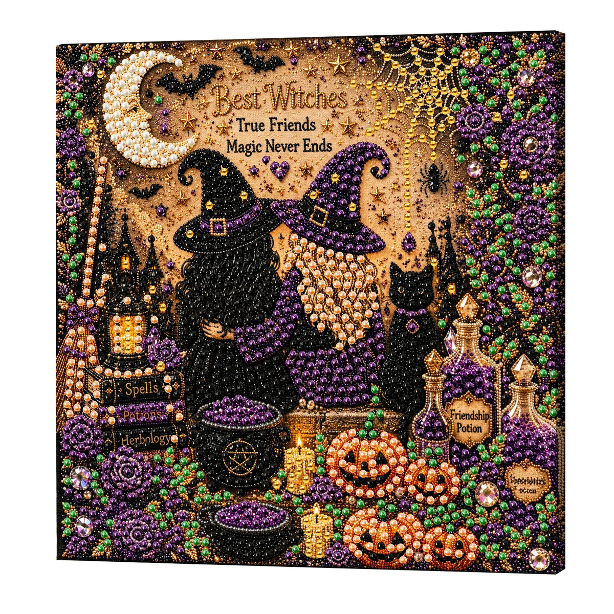 DIY Pearl Painting Halloween Witch with Frame(20x20cm)